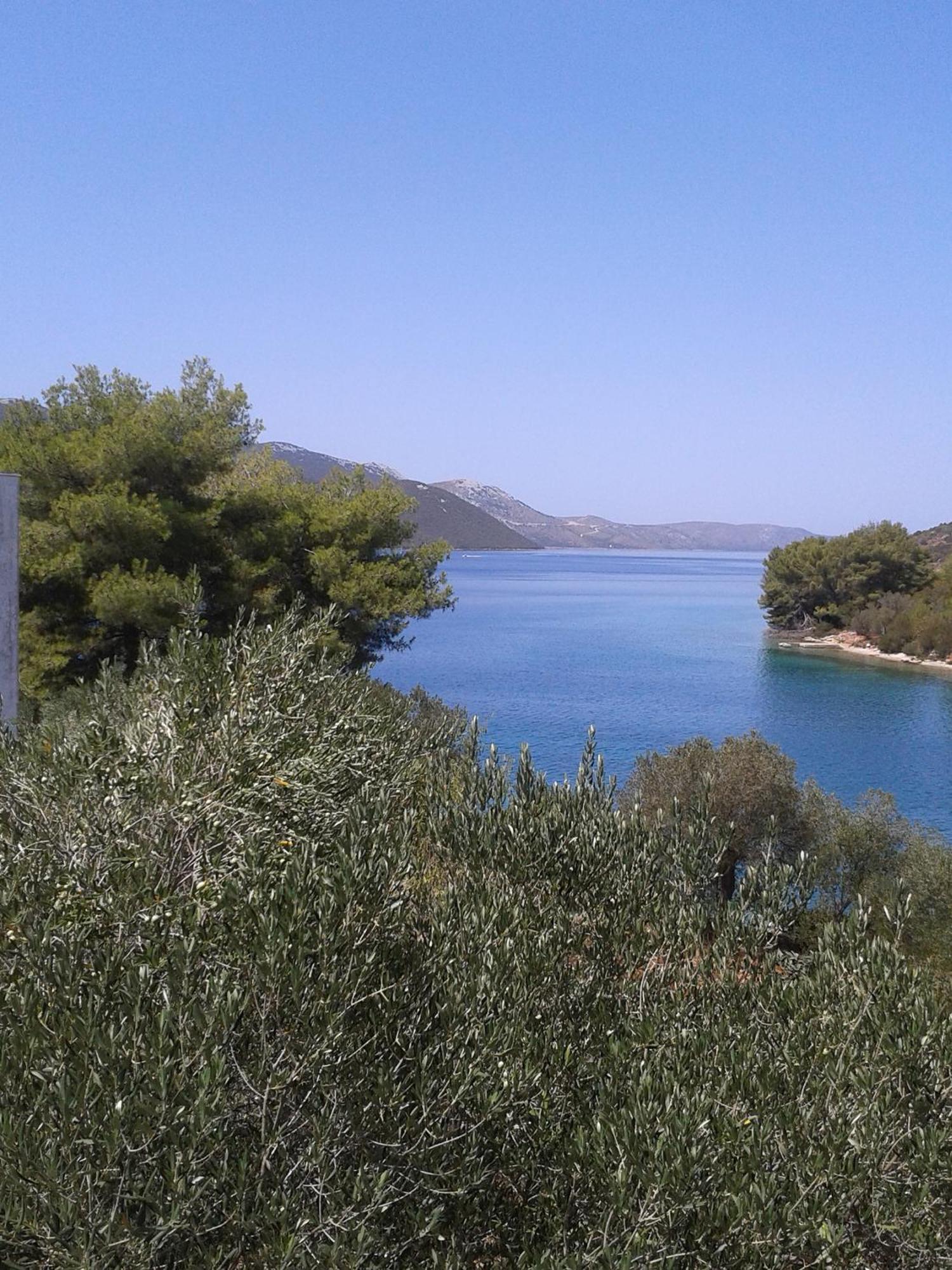 Topolovec Luka (Dugi Otok)